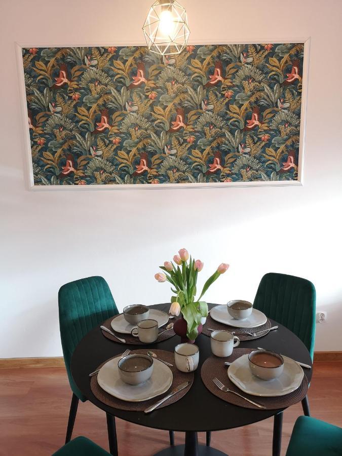 Piotrków TrybunalskiApartament Reymonta Parkアパートメント エクステリア 写真