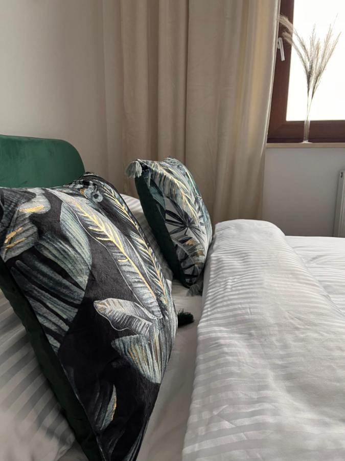 Piotrków TrybunalskiApartament Reymonta Parkアパートメント エクステリア 写真