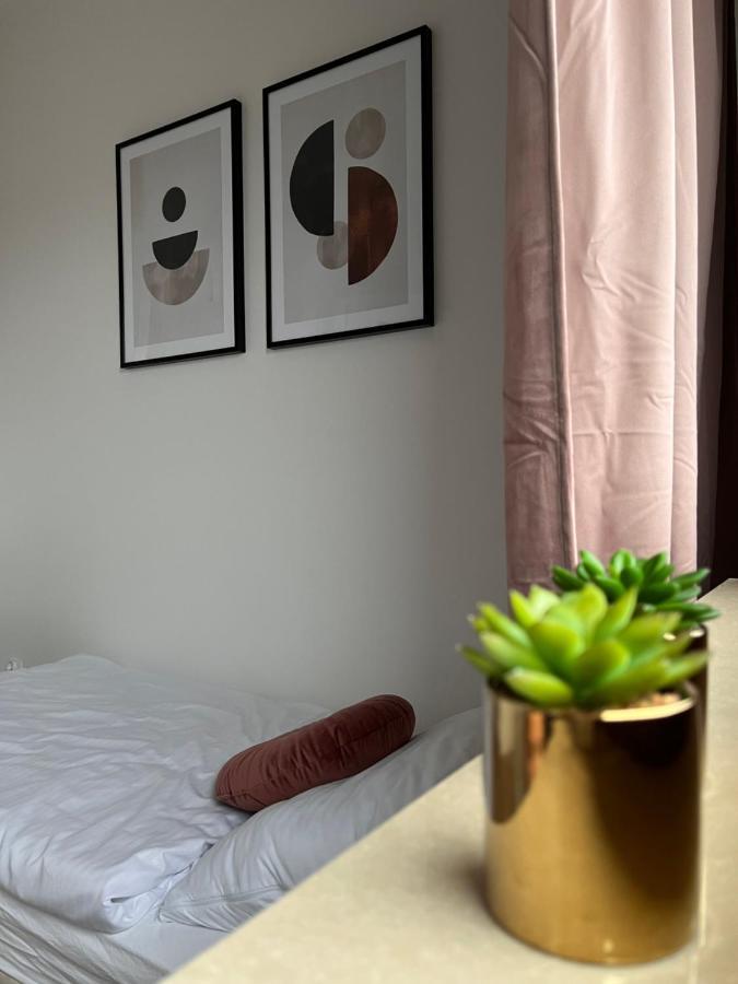 Piotrków TrybunalskiApartament Reymonta Parkアパートメント エクステリア 写真